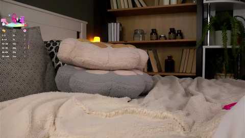 aislyfarran free recording from 2025-08-23 08:58:00