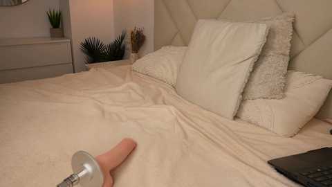 funny_to_see_you_here free recording from 