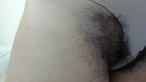 nicebrown free recording from 