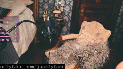 thecamwoman free recording from 2025-08-24 01:18:00