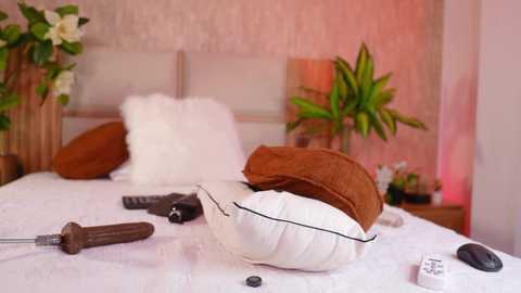 ana_maria11 free recording from 2025-08-25 08:25:00