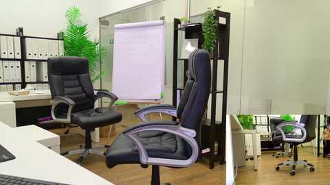 babesgowild free recording from 2025-08-25 07:49:00