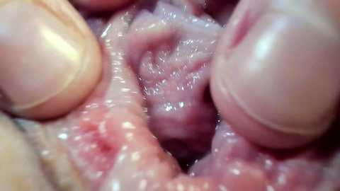 courtney_luv free recording from 