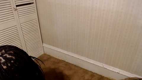 creamyexotica free recording from 