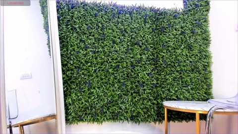 hotfallingdevil free recording from 2025-08-25 10:00:00