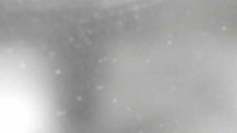 bolo_bol0 free recording from 2025-08-26 03:49:00