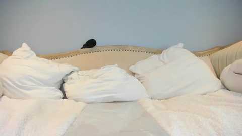 eatmygingersnapps free recording from 2025-08-26 17:00:00