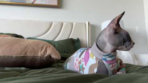 graciemae_baexx free recording from 2025-08-26 22:46:00