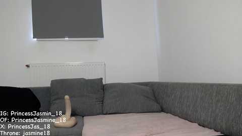 princessjasmine_18 free recording from 2025-08-26 14:07:00