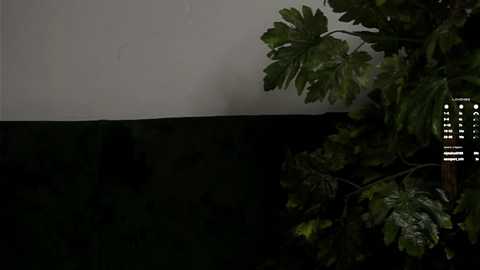 signehinz free recording from 2025-08-26 16:53:00