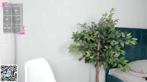 meowmonica free recording from 2025-08-27 14:15:00