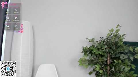 meowmonica free recording from 2025-08-27 15:30:00