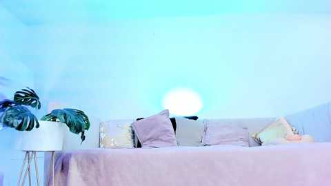 sophiehill_gh free recording from 2025-08-27 06:50:00