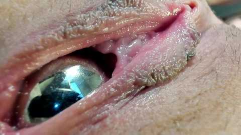 courtney_luv free recording from 