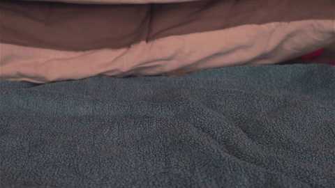 misslullu free recording from 2025-08-28 12:12:00