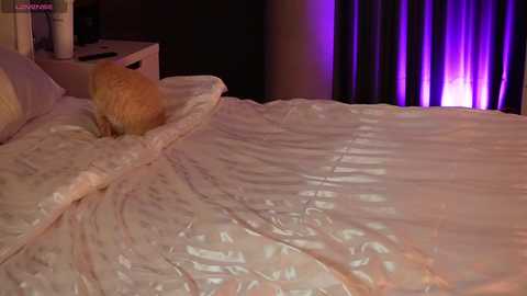 scarlett__baker11 free recording from 2025-08-28 01:47:00