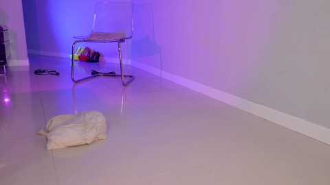 toomuch_wet_ free recording from 2025-08-28 19:39:00