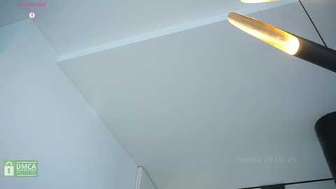 hecola free recording from 2025-08-29 13:45:00