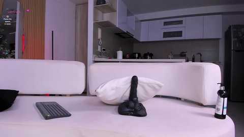 nemisha free recording from 2025-08-29 16:54:00