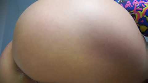 sonya_kelsey free recording from 