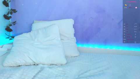 superbdolls free recording from 2025-08-29 05:17:00