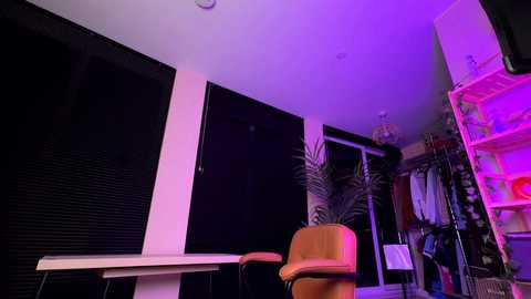 vixenp free recording from 