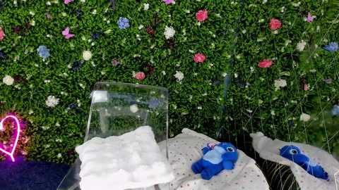 babyaylin free recording from 