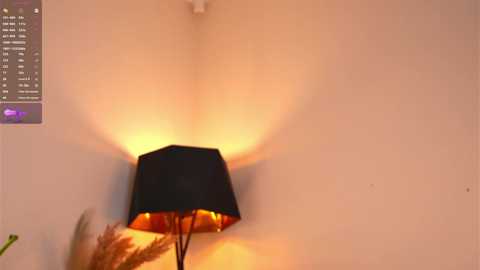 pafosstar free recording from 2025-08-31 19:17:00