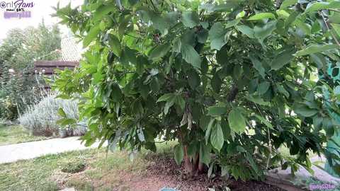 patry333 free recording from 2025-08-31 07:48:00