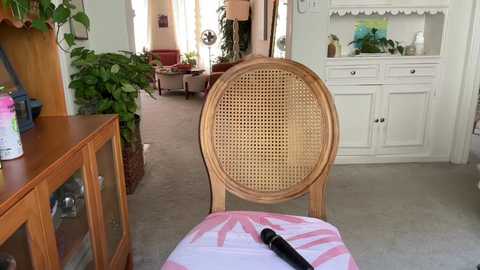 pretendlunch free recording from 2025-08-31 19:55:00