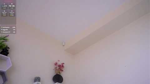 cielomio free recording from 2025-09-01 09:10:00