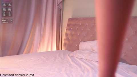 money_banny free recording from 