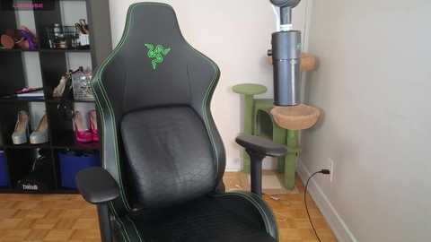 alexa_dream free recording from 2025-09-02 00:46:00