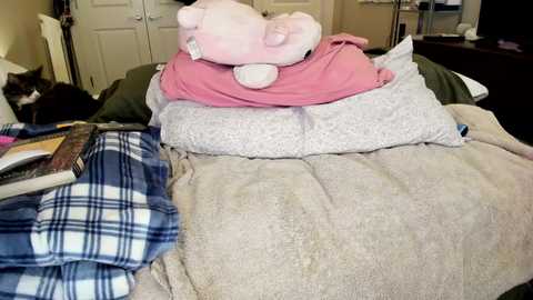 eve003300 free recording from 2025-09-02 02:33:00