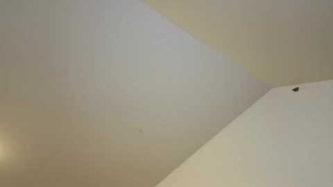 jamacky free recording from 2025-09-02 16:09:00