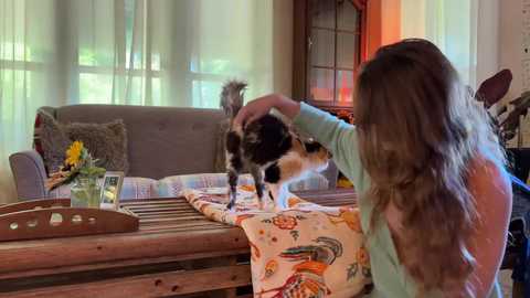 mommamia12 free recording from 2025-09-02 14:06:00