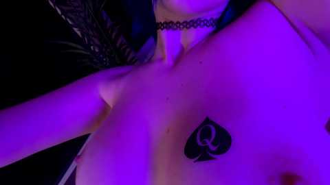 vixenp free recording from 2025-09-02 20:34:00