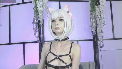 xenomy free recording from 2025-09-02 11:00:00