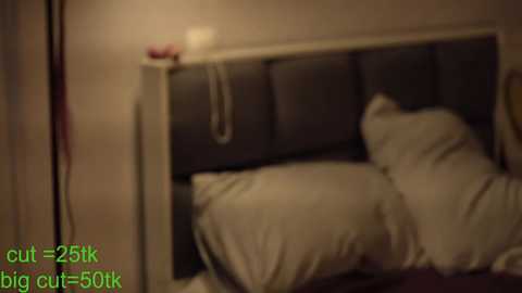 blissence free recording from 