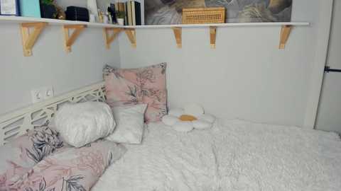 bunny_nova free recording from 2025-09-04 13:15:00