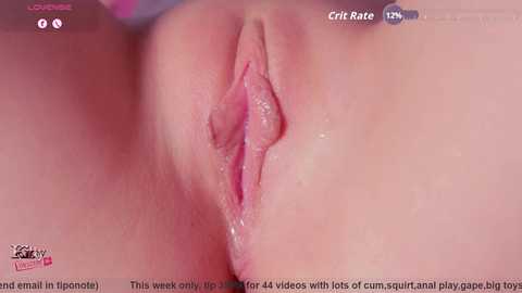 kittyobscene free recording from 2025-09-05 05:06:00