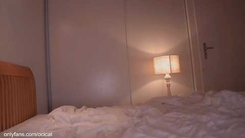 ocicat free recording from 2025-09-05 00:38:00