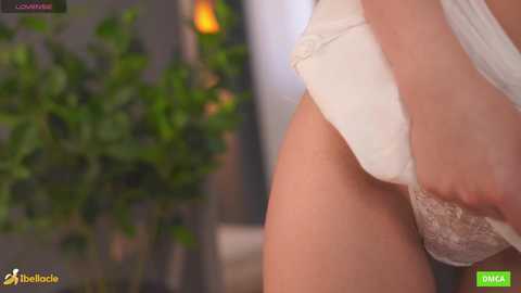 bellacle free recording from 