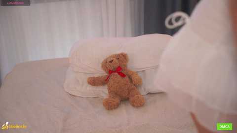 bellacle free recording from 2025-09-06 13:04:00