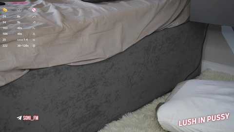 sonisins free recording from 