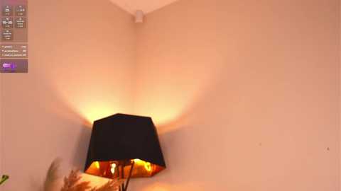 pafosstar free recording from 2025-09-07 18:05:00