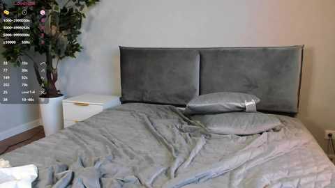 simple_dimpl free recording from 