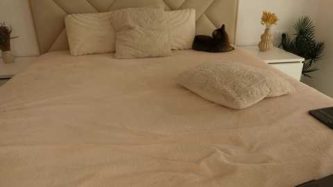 funny_to_see_you_here free recording from 