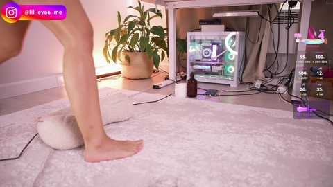 lil_eva free recording from 