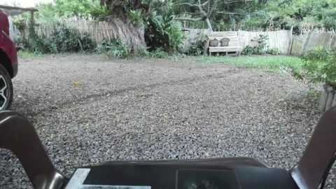 paoguerrax354 free recording from 